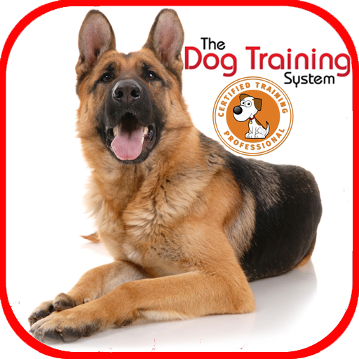 Free Dog Training Apps