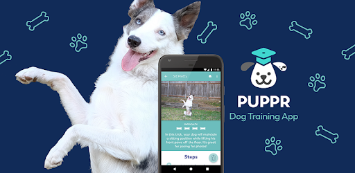 Puppr dog training app